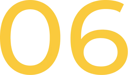 06